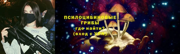 прущие грибы Алексеевка