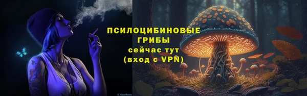 прущие грибы Алексеевка