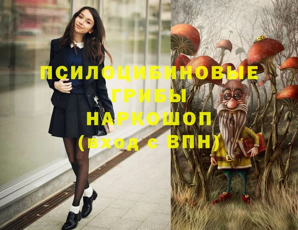 ALPHA PVP Алзамай