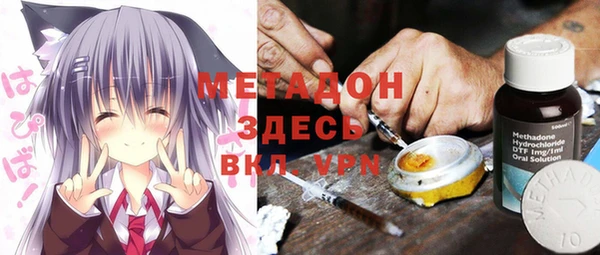 прущие грибы Алексеевка
