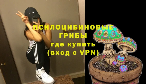 ALPHA PVP Алзамай