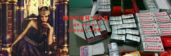 прущие грибы Алексеевка
