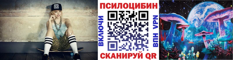 Галлюциногенные грибы Psilocybine cubensis  Устюжна 